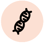 Caractéristiques génétiques